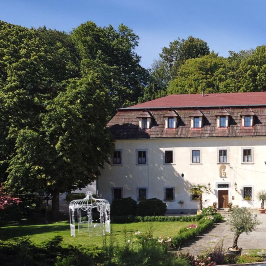 Zámek Vidžín garden