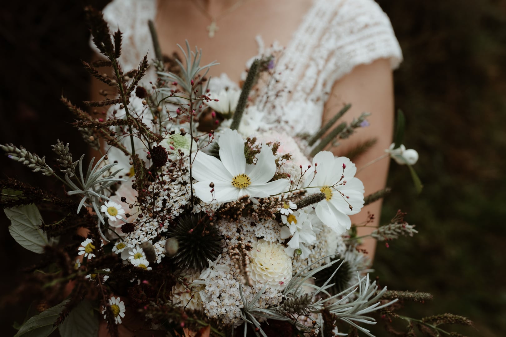 Zahrada Krásenka cover photo