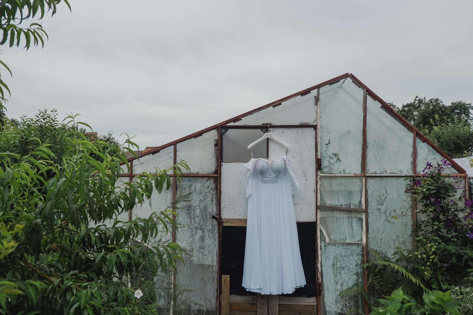 Gallery image Smolovi