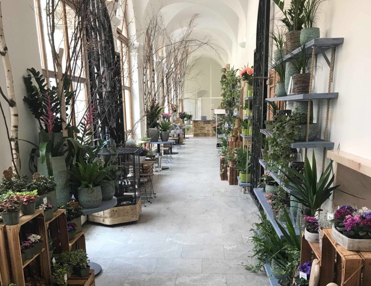 Gallery image 40313563_582199092197495_5798259652655316992_n