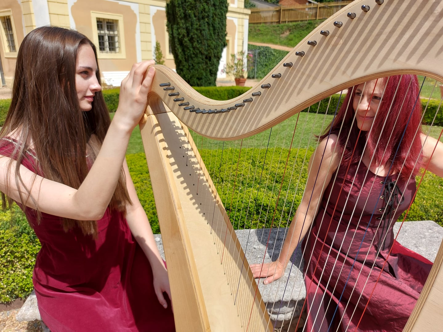 Harfio gallery image 1