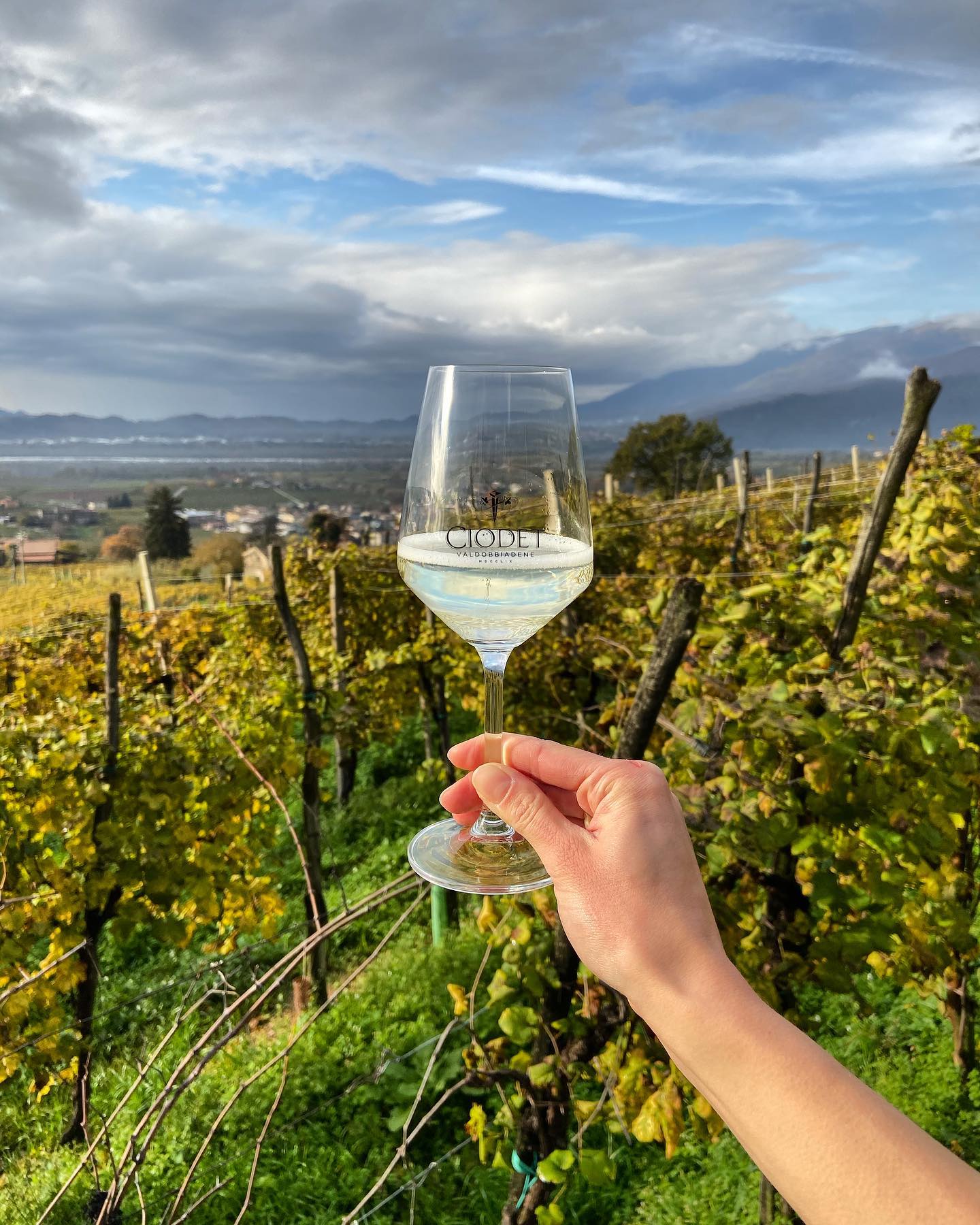 Prosecco Popler gallery image 3