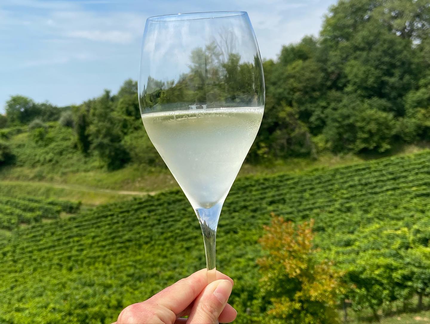 Prosecco Popler gallery image 1