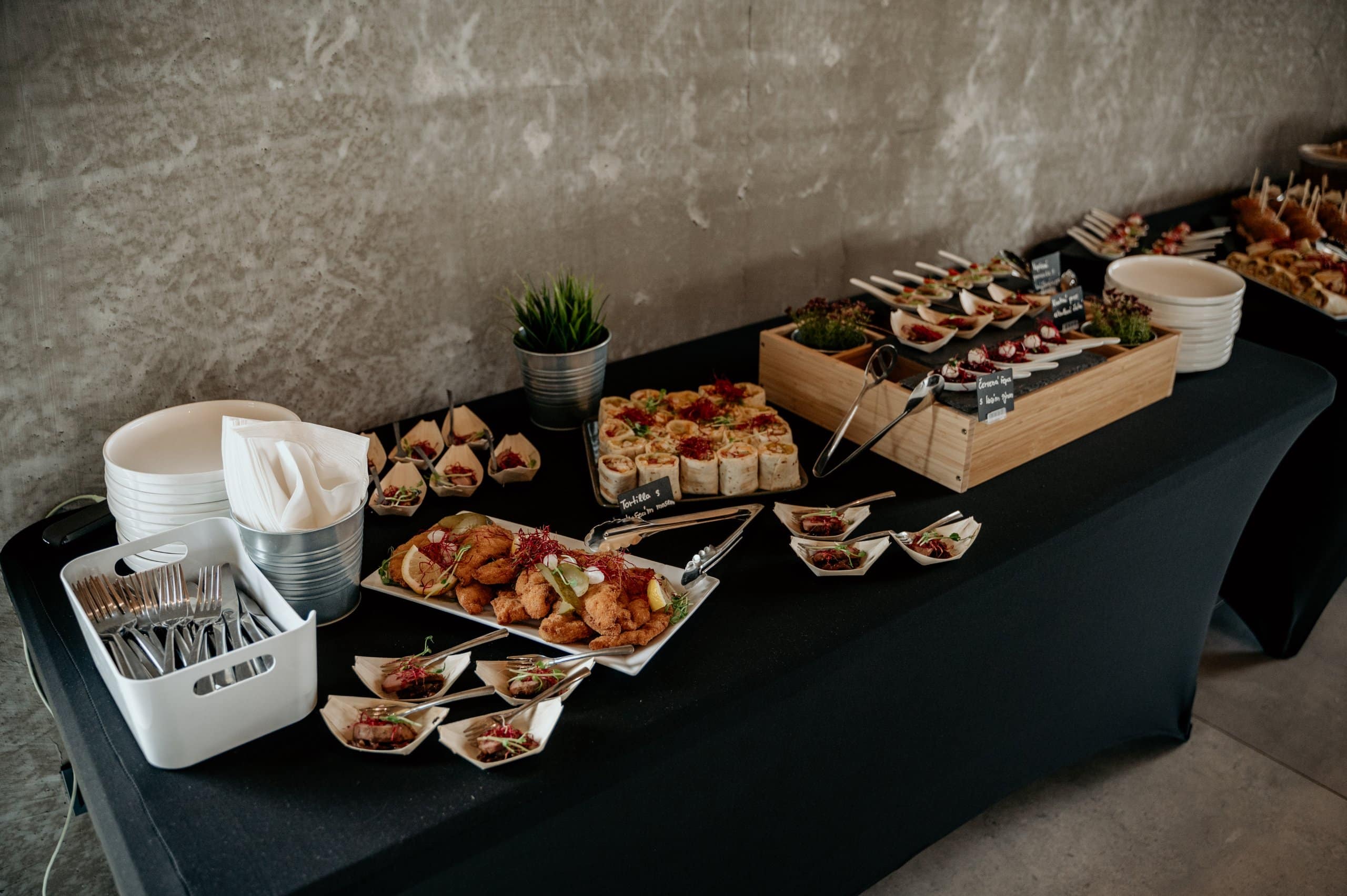 Manually added from URL: https://delucatering.cz/wp-content/uploads/2023/11/DSC_8506-scaled.jpg